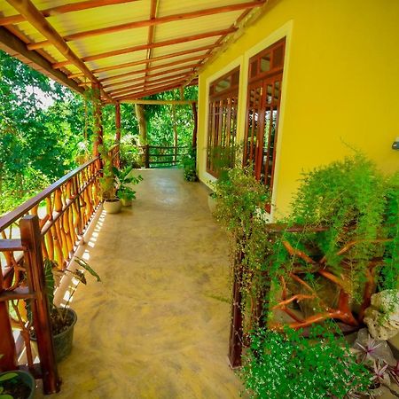 Happy Horizon Home Stay إيلا المظهر الخارجي الصورة