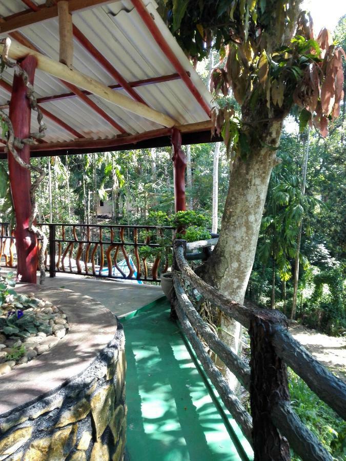 Happy Horizon Home Stay إيلا المظهر الخارجي الصورة