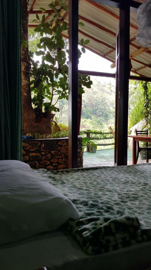 Happy Horizon Home Stay إيلا المظهر الخارجي الصورة