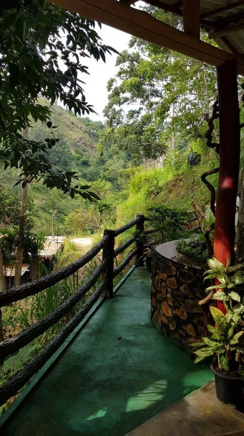 Happy Horizon Home Stay إيلا المظهر الخارجي الصورة