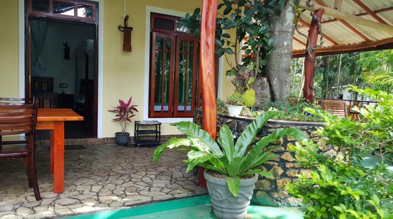 Happy Horizon Home Stay إيلا المظهر الخارجي الصورة