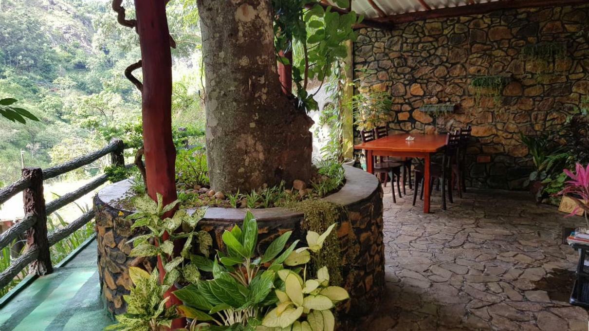 Happy Horizon Home Stay إيلا المظهر الخارجي الصورة