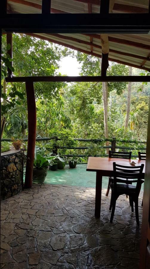 Happy Horizon Home Stay إيلا المظهر الخارجي الصورة